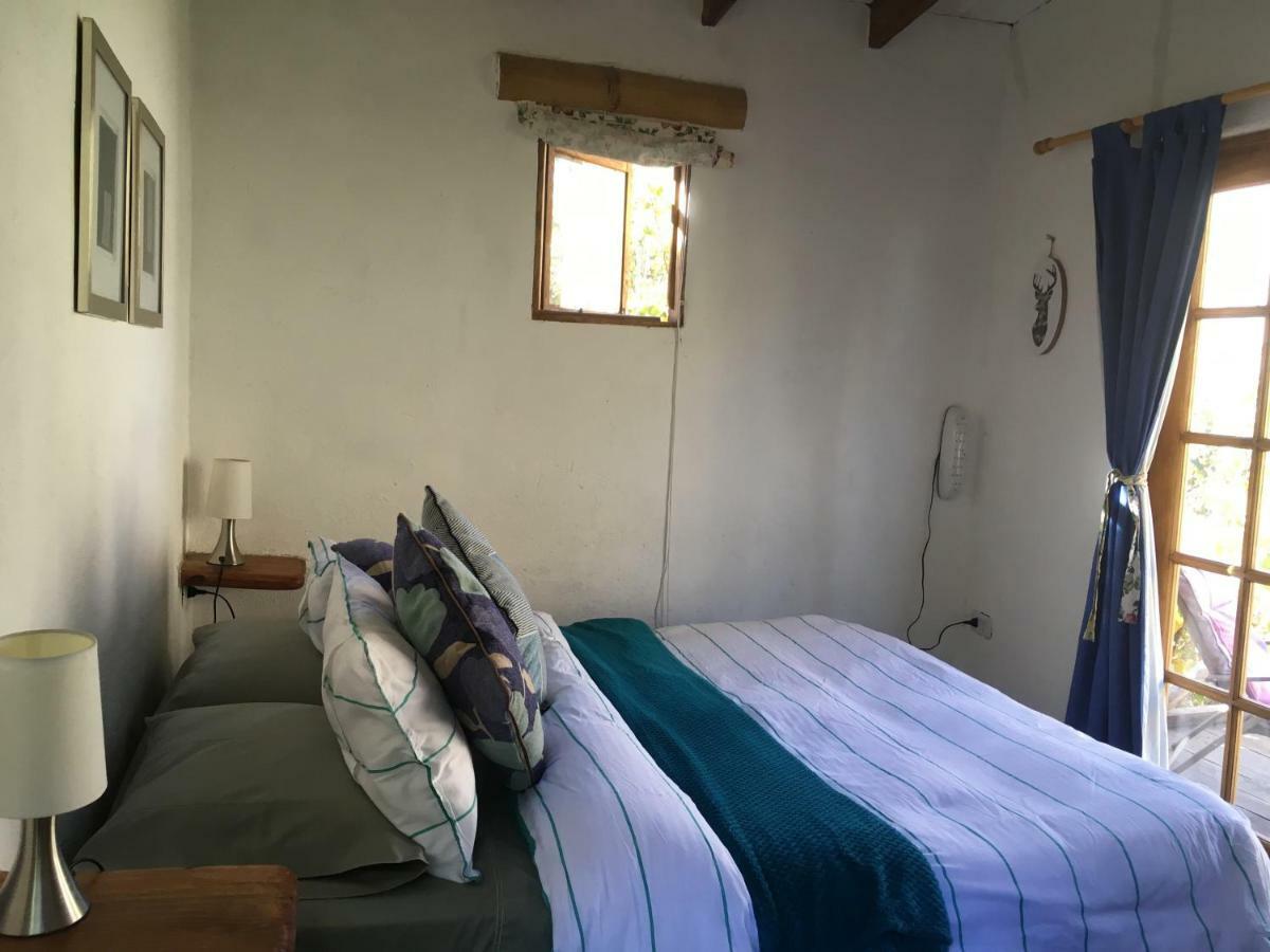 Cabanas Elquimista Pisco Elqui Extérieur photo
